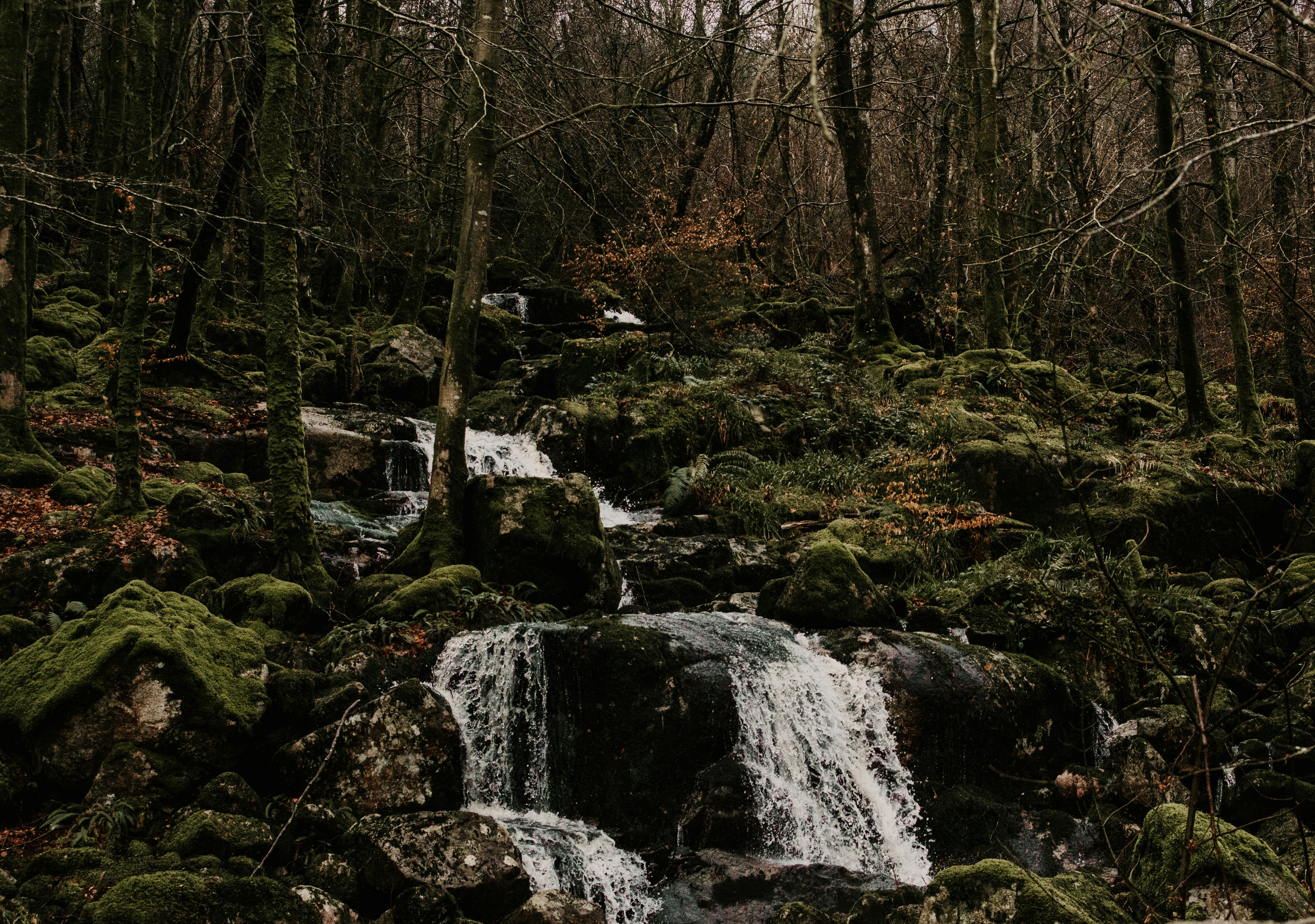 Dhoon Glen & Waterfall